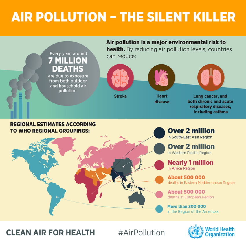 Air Pollution Facts Poster